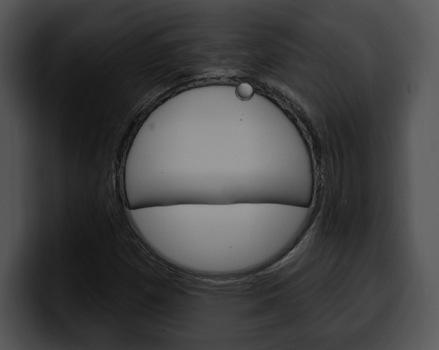 X0000100501257200806130722
