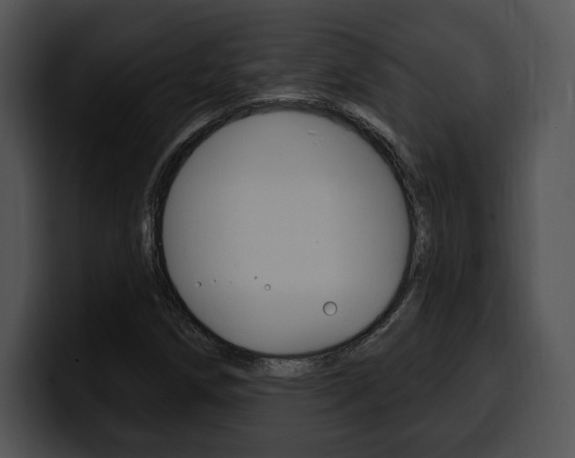 X0000100501258200806130722