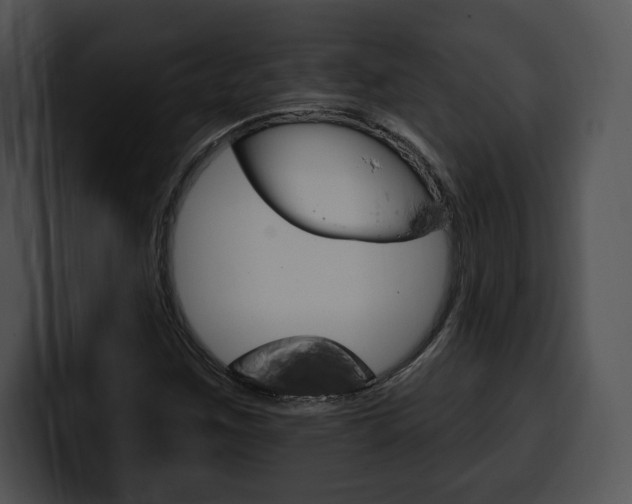 X0000100501259200806130722