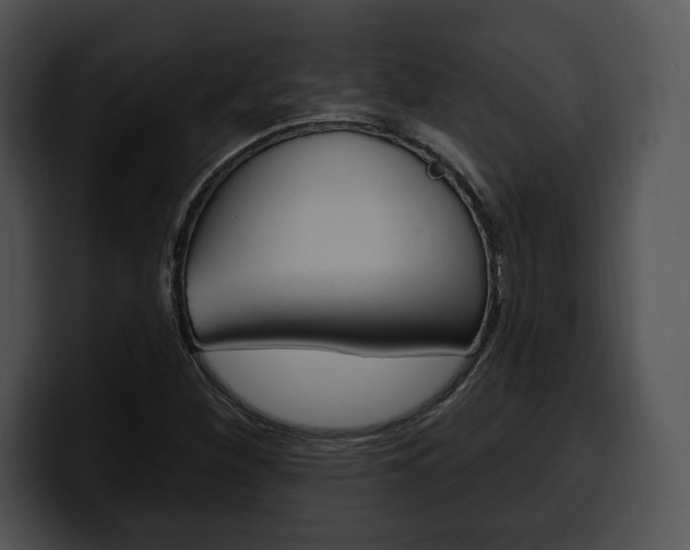 X0000100501260200806130722