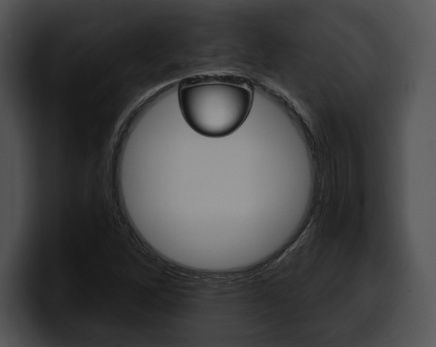 X0000100501262200806130722