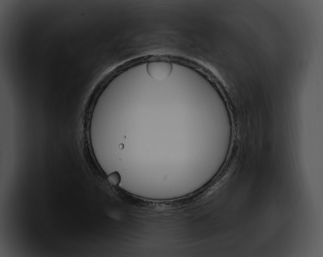 X0000100501263200806130722