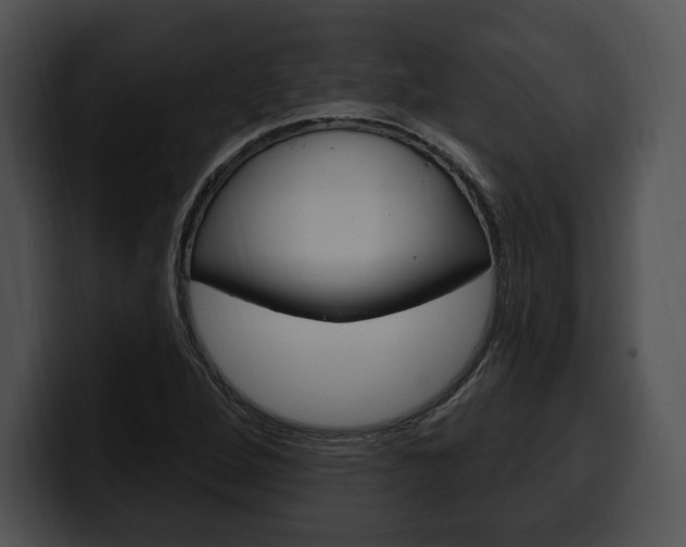X0000100501264200806130722