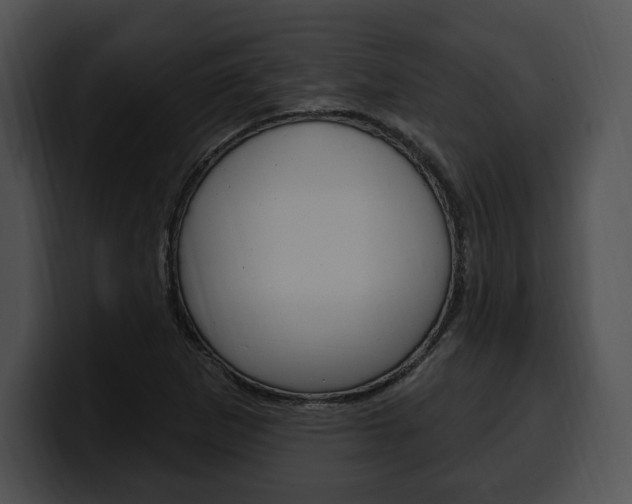 X0000100501265200806130722