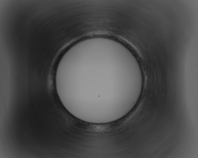 X0000100501266200806130722