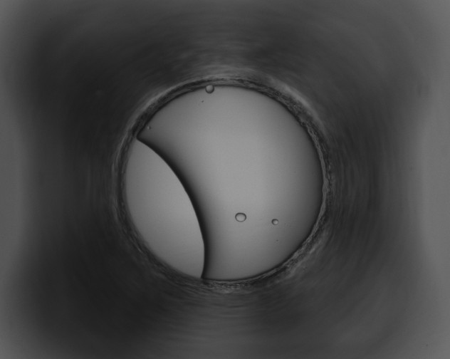 X0000100501267200806130722