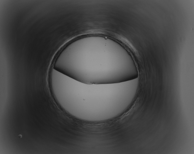 X0000100501268200806130722