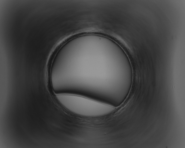 X0000100501270200806130722