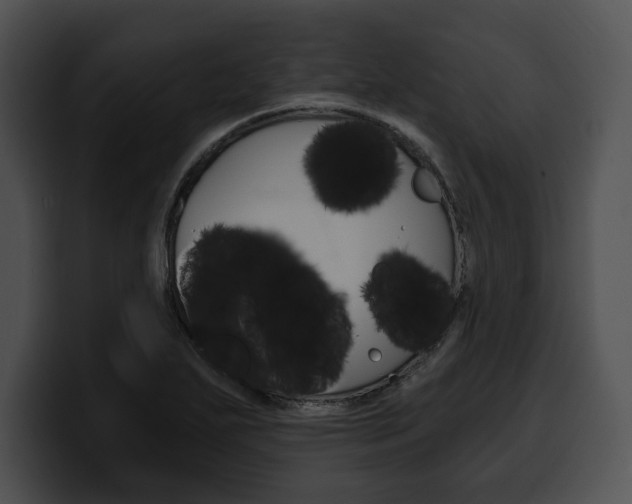 X0000100501271200806130722