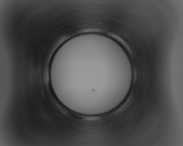 X0000100501274200806130722