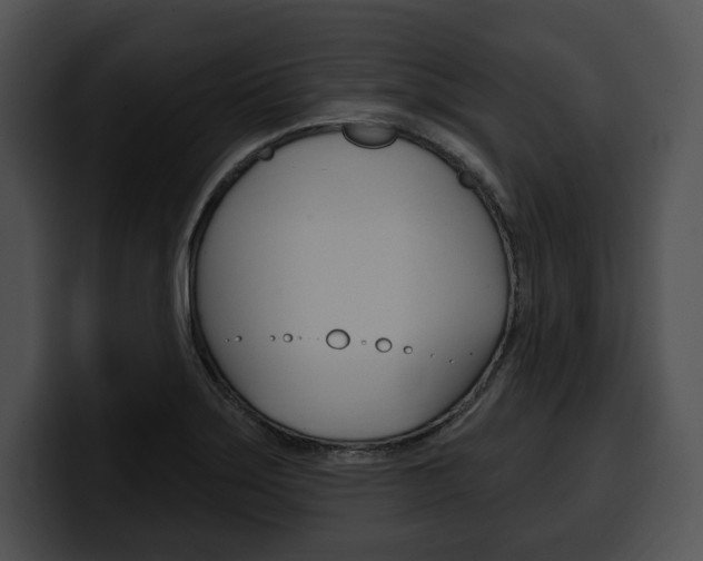 X0000100501275200806130722