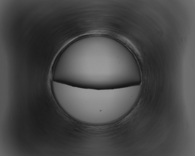 X0000100501276200806130722
