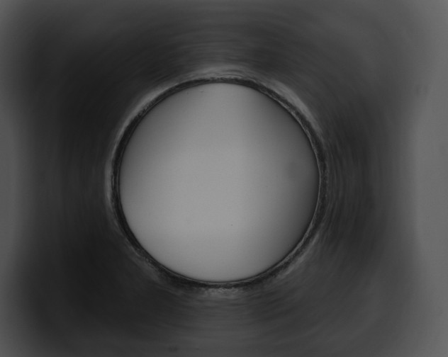 X0000100501277200806130722