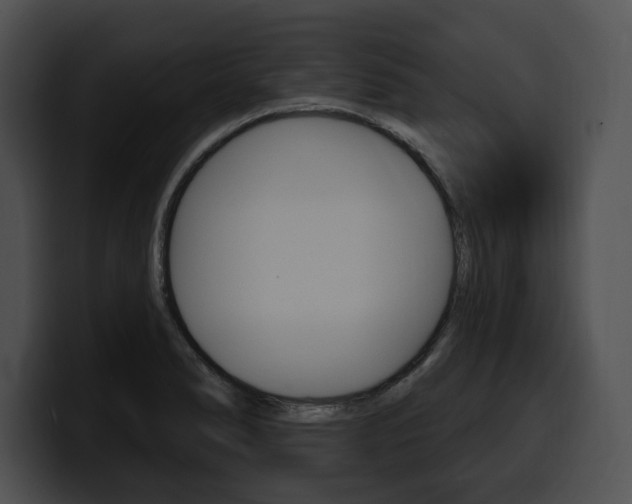 X0000100501278200806130722