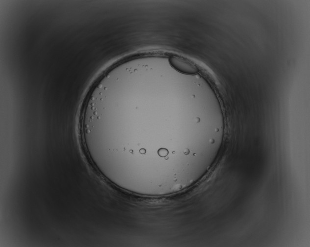X0000100501279200806130722