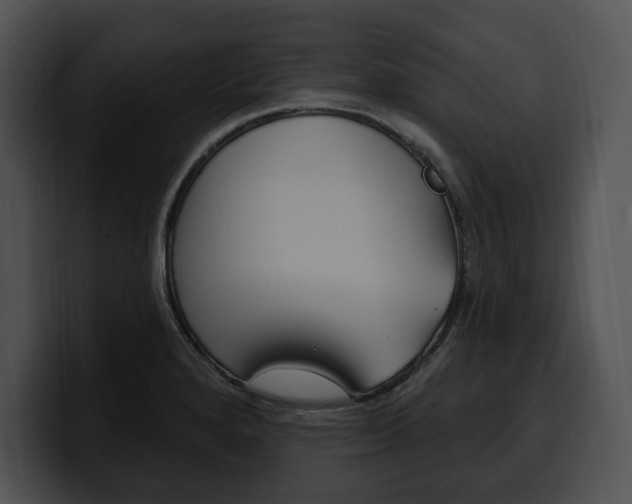 X0000100501280200806130722
