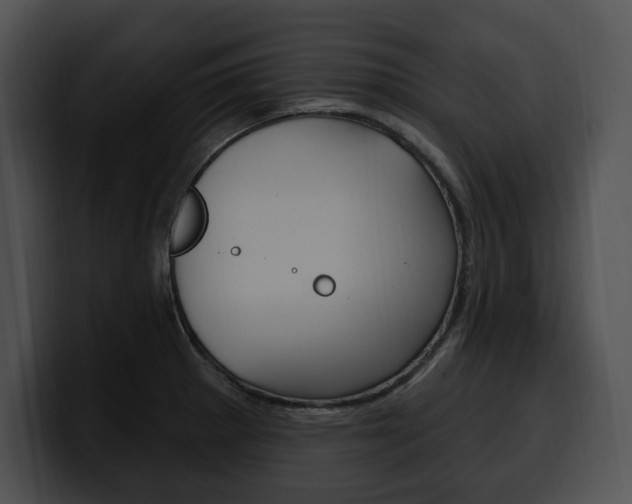 X0000100501281200806130722