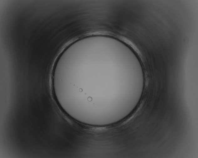 X0000100501282200806130722