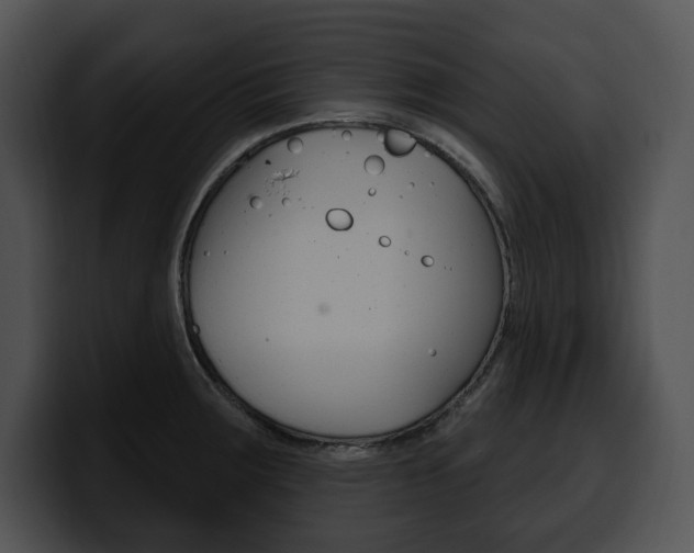 X0000100501283200806130722