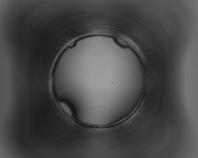 X0000100501284200806130722