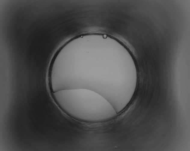 X0000100501285200806130722