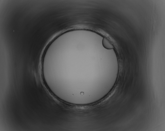 X0000100501286200806130722