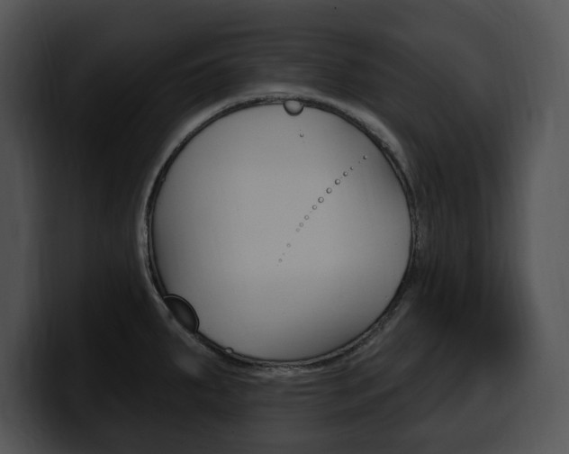 X0000100501287200806130722