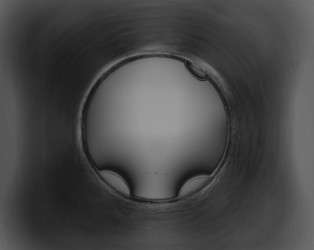 X0000100501288200806130722
