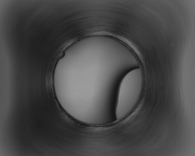 X0000100501289200806130722