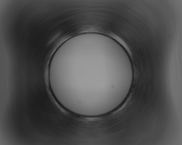 X0000100501290200806130722