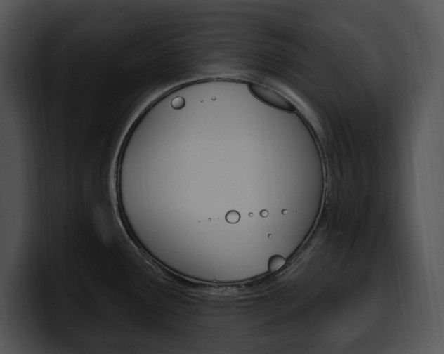 X0000100501291200806130722
