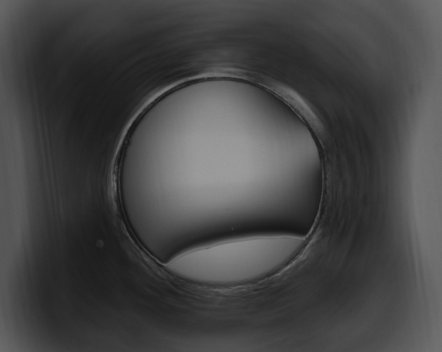 X0000100501292200806130722