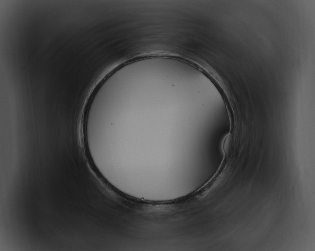 X0000100501293200806130722