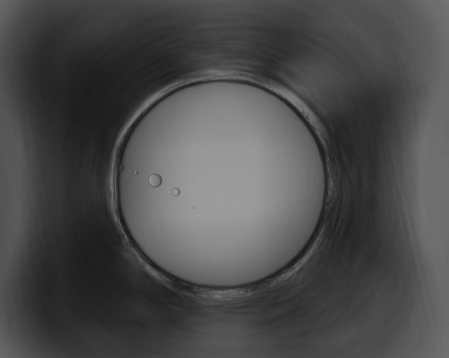 X0000100501294200806130722