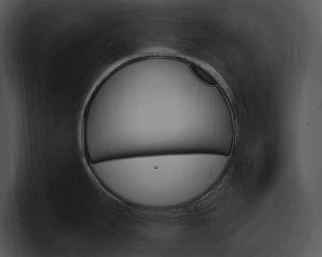 X0000100501295200806130722