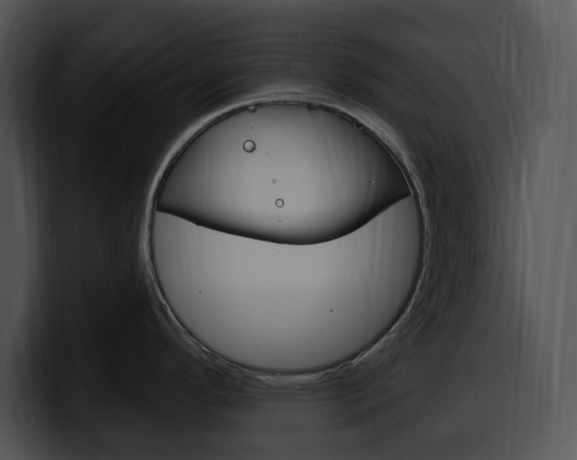 X0000100501296200806130722