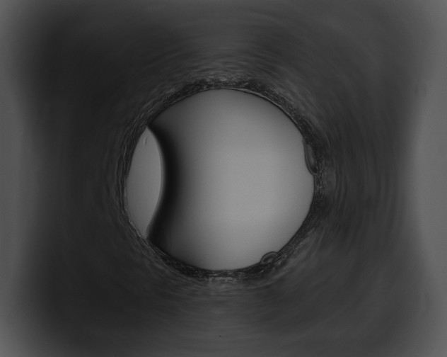 X0000100501297200806130721