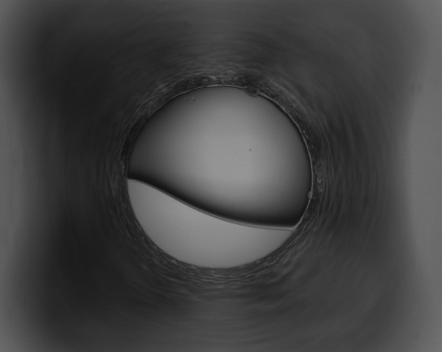 X0000100501298200806130721