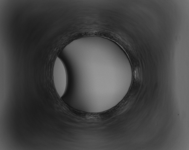 X0000100501299200806130721