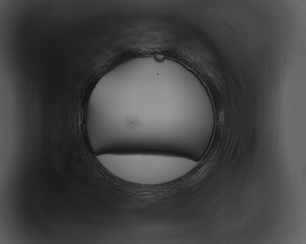 X0000100501300200806130721