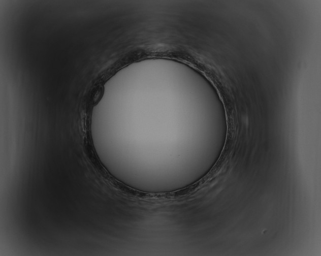 X0000100501301200806130721