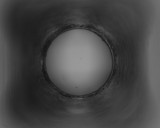 X0000100501302200806130721