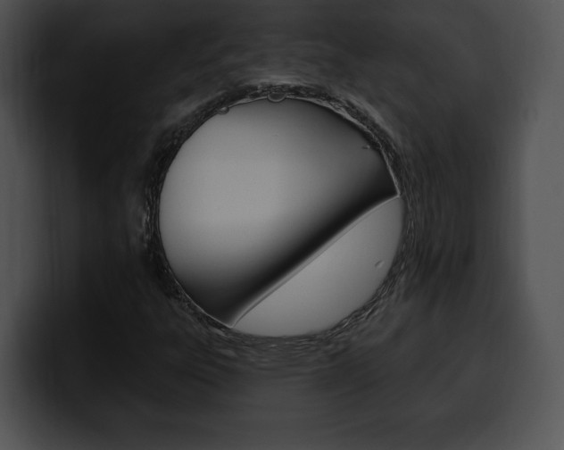 X0000100501303200806130721