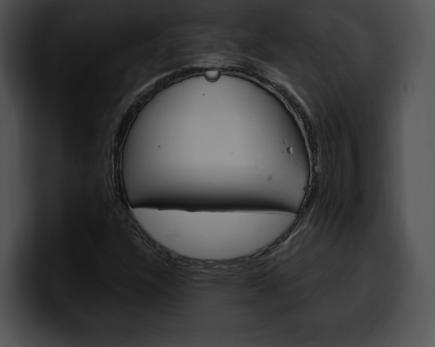 X0000100501304200806130721