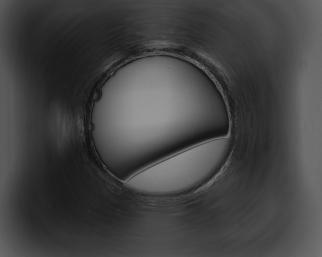 X0000100501305200806130721