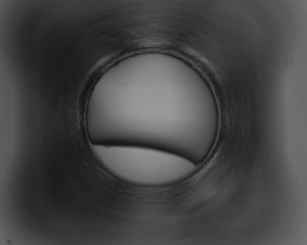 X0000100501306200806130721