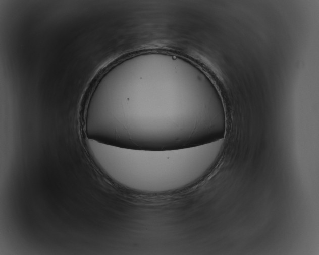 X0000100501308200806130721