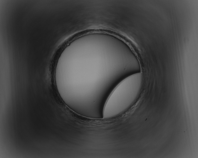 X0000100501311200806130722