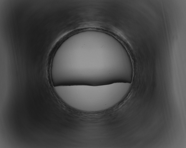 X0000100501312200806130722