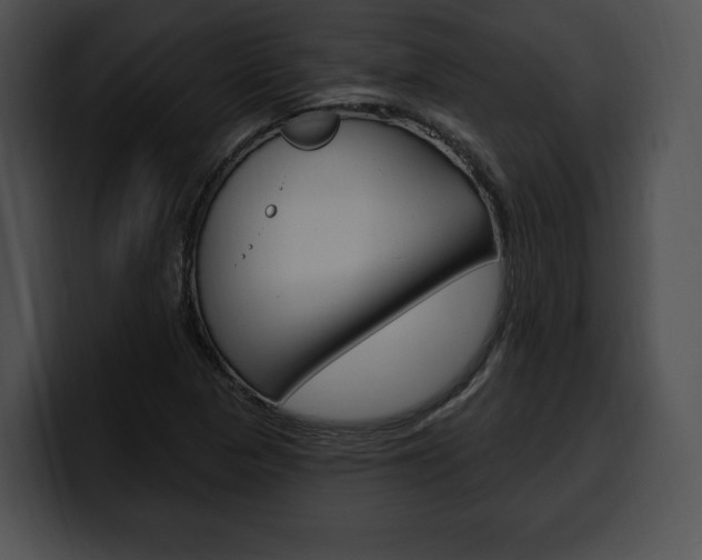 X0000100501313200806130722